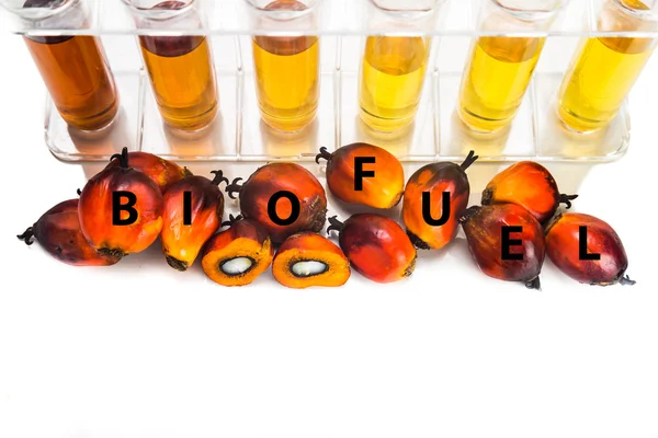 Biodiesel di palma da olio con provette e la parola BIOFUEL — Foto Stock