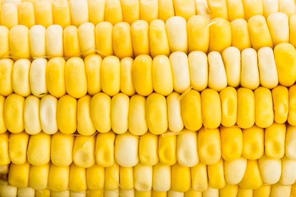 Tutup tekstur dari berbagai Crystal Corn Maize — Stok Foto