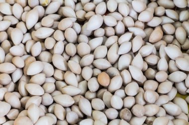 Taze ginkgo fındık kabuğu yığınları