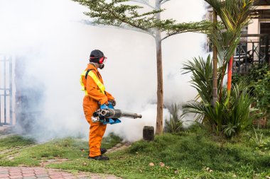 Aedes öldürmeye çalışan böcek öldürücüler ile yerleşim bölgesinde sisleme 