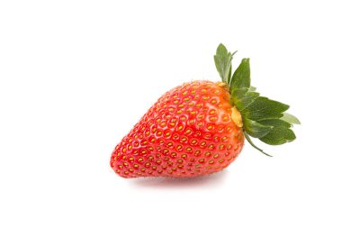 Closeup of two fresh juicy organic strawberries with white backg