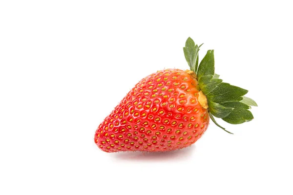 Gros plan de deux fraises bio juteuses fraîches avec dos blanc — Photo