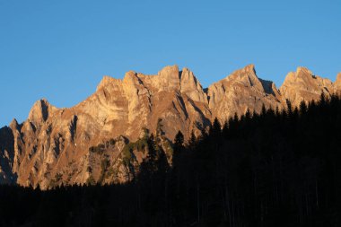 İsviçre tepelerinin önündeki koyu kozalaklı bir orman. Sonbahar öğleden sonra.