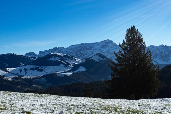 Vista sobre as colinas de Appenzell para Saentis, uma famosa montanha suíça — Fotografia de Stock