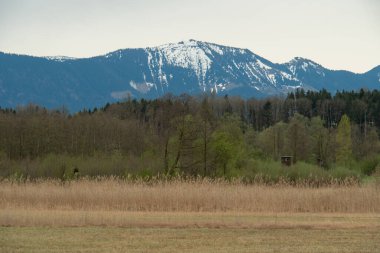 Simssee 'den Almanya' nın Bavyera kentindeki bir gölden ünlü bir tepe olan Hochries 'e