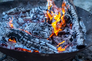 Çukurda yanan bir ateş, bir sürü odun yanıp kül oldu.