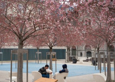 Sion, Switzerland - March 13th 2021: Revegetation in the city. Place de Rempart.