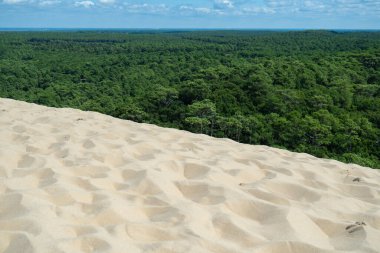 Fransa 'nın ünlü kumulundan kırsal kesimin ormanına bakın.