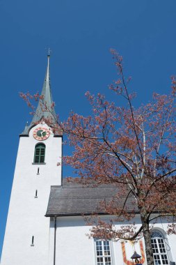 Hemberg, İsviçre - 24 Nisan 2021: Pembe çiçekli kilise ve ağaç