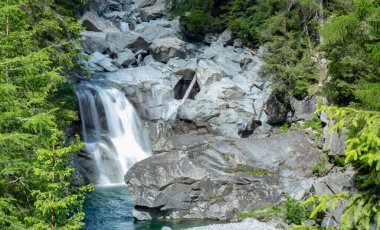 Ren nehrinin yukarısındaki vahşi kanyon İsviçre 'de kozalaklı bir orman içinde.
