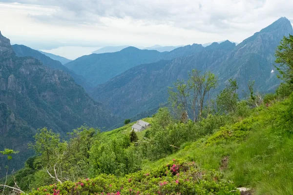 Vista desde Pizzo Mottac sobre el alp hacia el centro del valle del Parque Nacional Val Grande —  Fotos de Stock