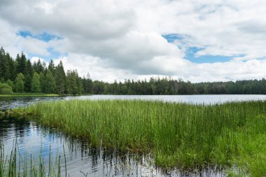 İsviçre 'nin Jura dağlarında ünlü Etang de Gruyere