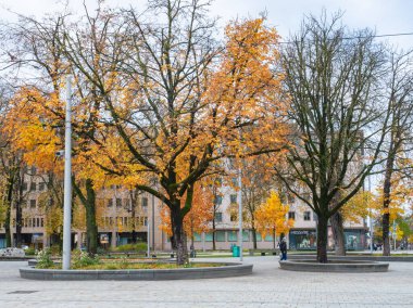 Almanya 'nın Augsburg kentinin yenilenmiş ve yeniden tasarlanmış olan Koenigsplatz merkezi toplu taşıma düğümüdür. Ağaç adaları ile çekici kentsel alan. 