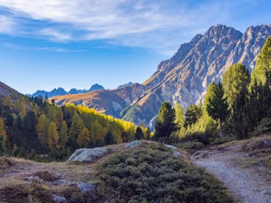 Grisons-İsviçre 'de sonbahar atmosferi. Mavi gökyüzünün altındaki ormanlar ve tepelerle dağlık arazide yürüyüş yapmak. S-Charl, Scuol bölgesine yakın bir durum.
