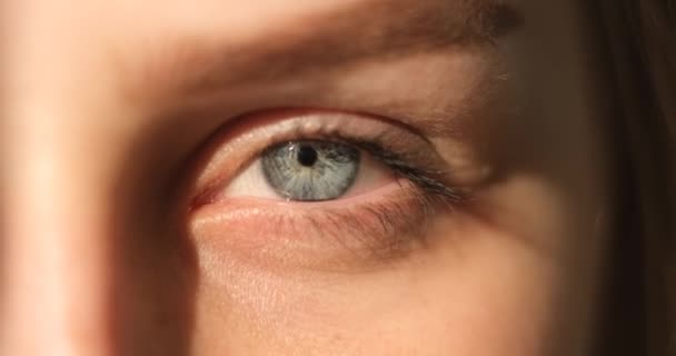 Close-up of young woman grey eye — Stock Video