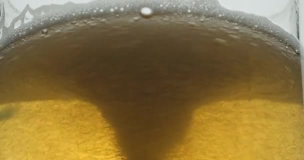 Girare nel bicchiere di birra — Video Stock