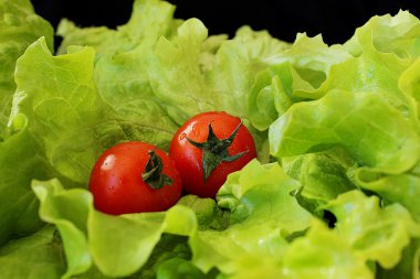 Salata ve domates siyah arka plan üzerine