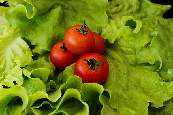 Салат и помидоры на черном фоне — стоковое фото