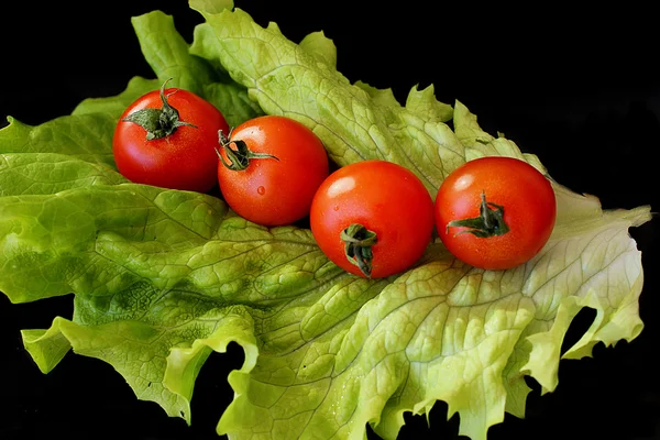 Salade en tomaten op zwarte achtergrond — Stockfoto