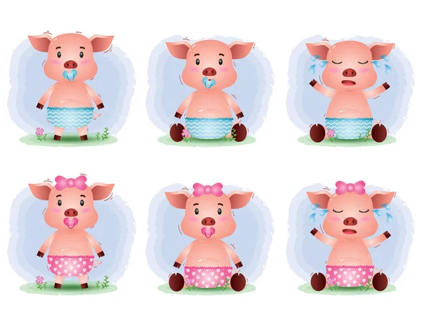 Bonito Porco Bebê Coleção Estilo Das Crianças — Vetor de Stock