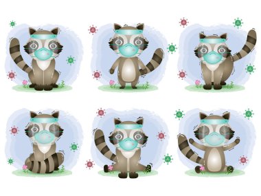 Yüz kalkanı ve maske koleksiyonu kullanan sevimli bir rakun.