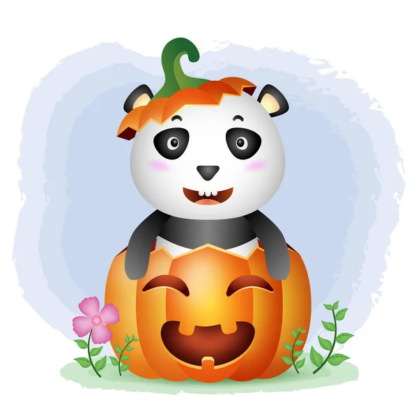 Simpatico Panda Nella Zucca Halloween — Vettoriale Stock