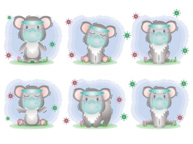 Güzel koala, yüz kalkanı ve maske koleksiyonu kullanıyor.