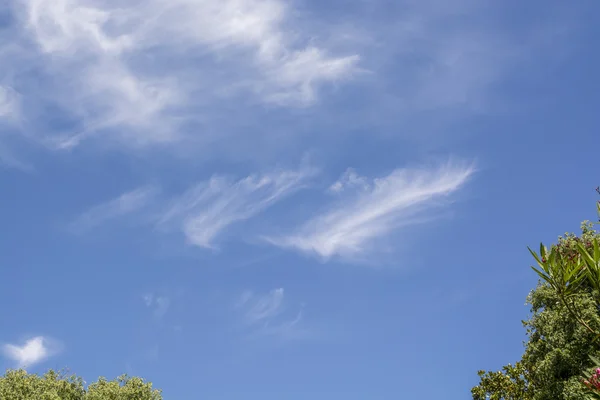 Feather cloud in the sky