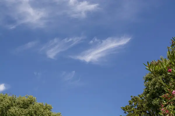 Gökyüzünde tüy bulut