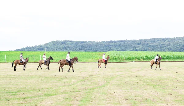 Do gry w Polo w Niemczech — Zdjęcie stockowe