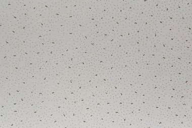 beyaz tavan kiremit dokusu