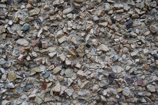 Panelin Beton Duvarı — Stok fotoğraf