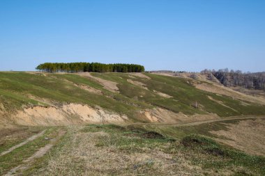 Sibirya 'nın tepesinde ağaçlar olan yeşil bir yamaçta aşağı inen yol.
