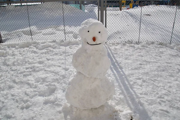 Güneşli bir günde kardan adam