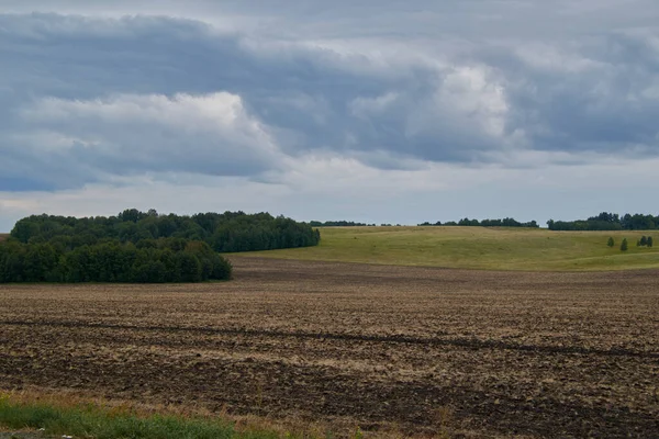Sibirya 'da bahar tarım tarlası