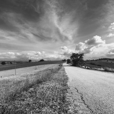 Siyah ve beyaz kır manzarası, yazları bulutlu ve tarlalı gökyüzü.