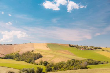 İlkbaharda güzel kırsal alan, ekili arazi manzarası
