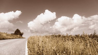 İlkbaharda güzel kırsal alan, yoldan manzara