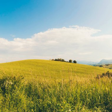 Baharda, tarlalarda ve gökyüzünde güzel bir manzara.