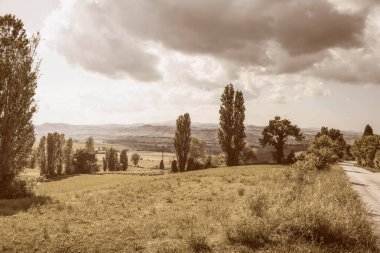 Güzel kır manzarası, baharda yeşil çayırlar.