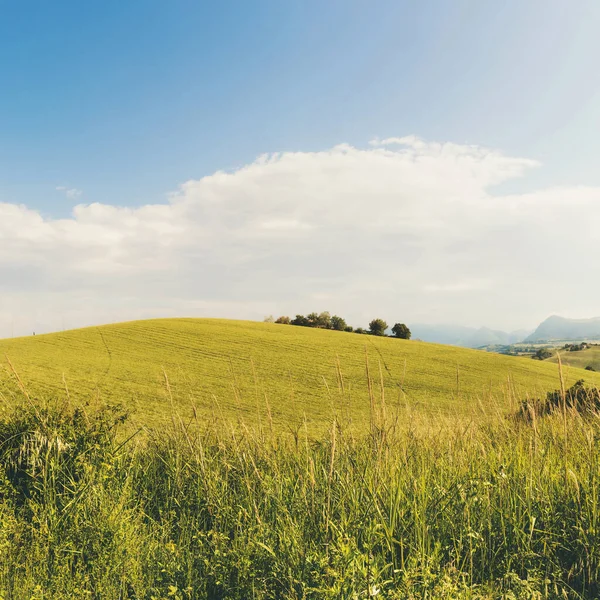 Baharda, tarlalarda ve gökyüzünde güzel bir manzara.