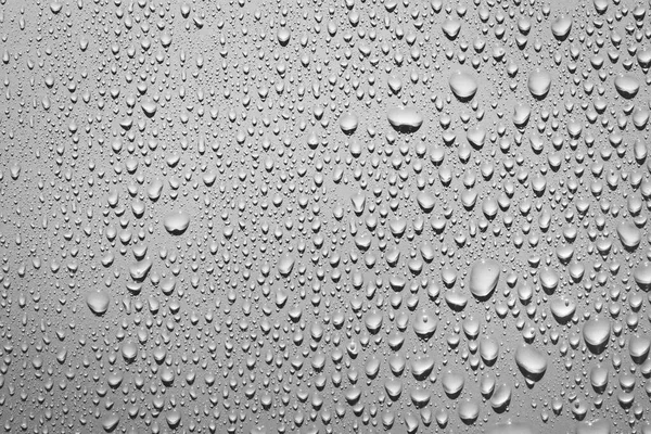 滑らかな表面 灰色の背景に水滴の閉じる — ストック写真