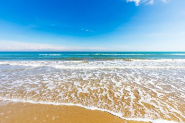 Dalgalar kuma çarpar, deniz manzarası