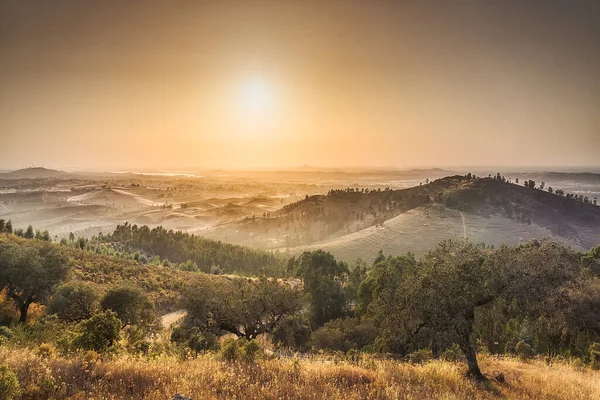 Landelijk Landschap Met Mist Achtergrond Weinig Zon — Stockfoto