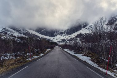 Ufukta yoğun sis ve etrafındaki ağaçlarla dağlar arasındaki yol.