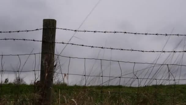 Zeitraffer Von Gewitterwolken Mit Stacheldrahtzaun Und Holzpfosten — Stockvideo