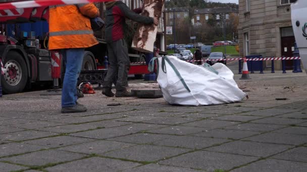 Trabajador instalando árbol de Navidad en el centro de la ciudad — Vídeos de Stock