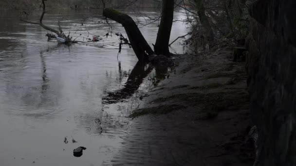 Canal sucio junto al agua en invierno británico — Vídeo de stock