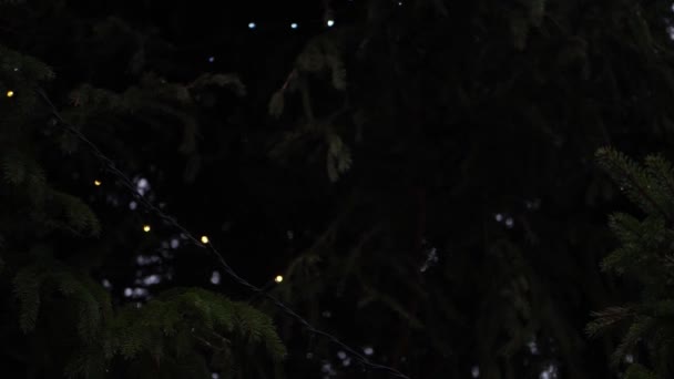 Kerstboom versierd met feeënlichtjes — Stockvideo