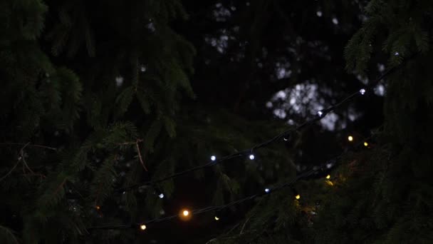 Kerstboom versierd met feeënlichtjes — Stockvideo